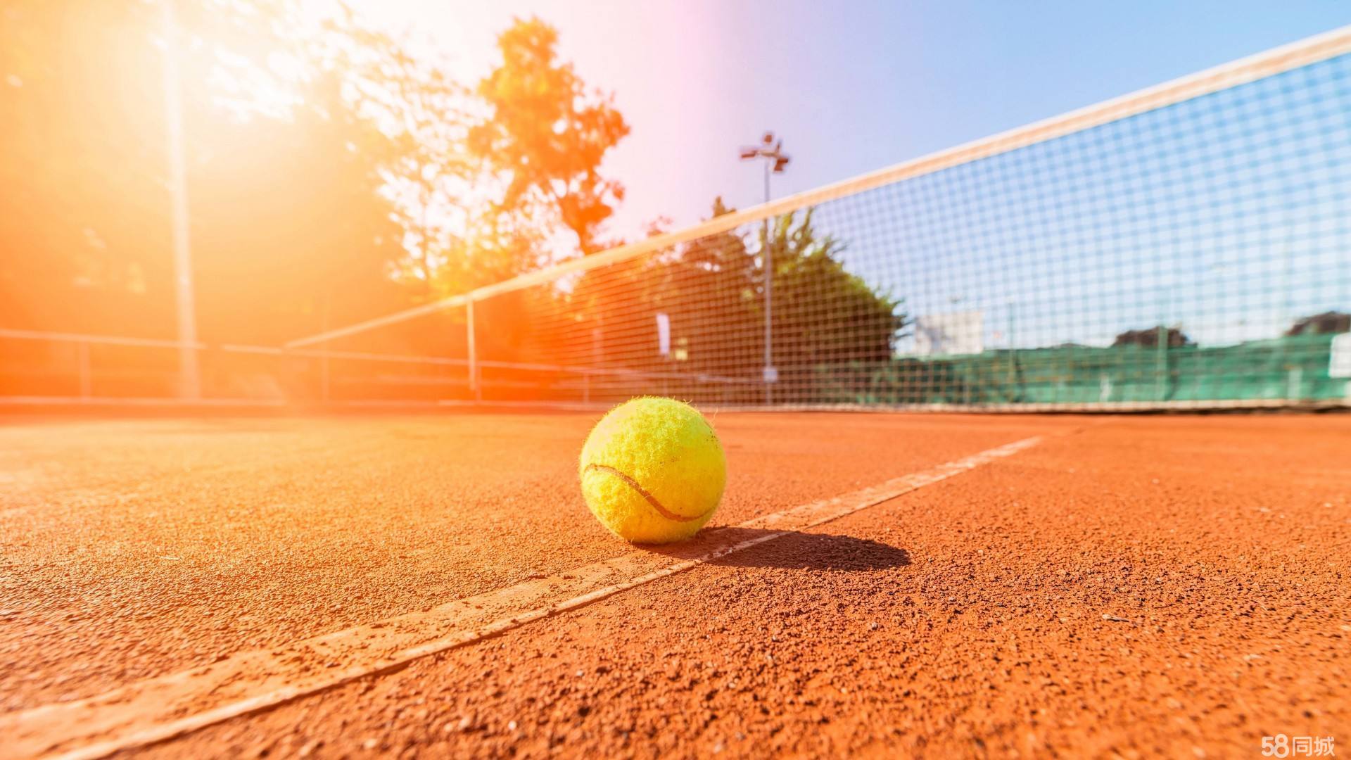 术执行力的 术执行力的