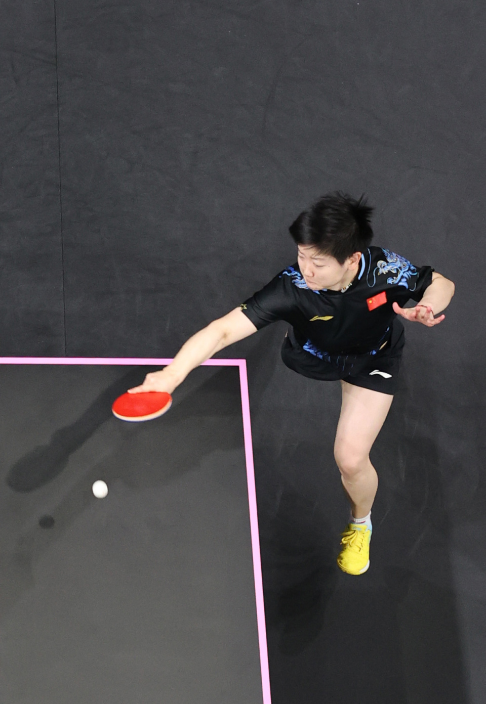 的国际大赛 的国际大赛